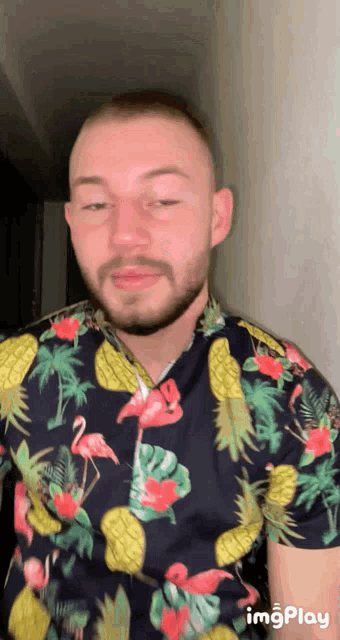 a man with a beard is wearing a hawaiian shirt with flamingos and pineapples on it