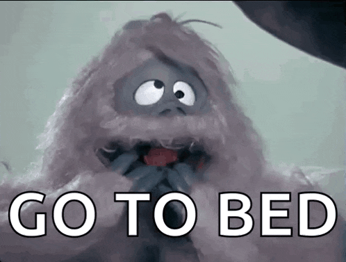 a picture of a stuffed animal with the words go to bed below it .