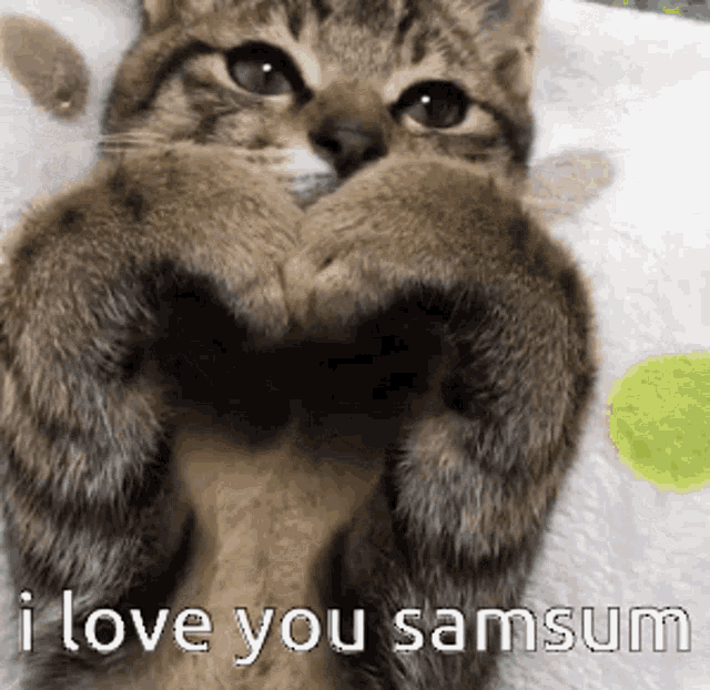 I Love You Samsum I Love Samsum GIF - I Love You Samsum I Love Samsum GIFs