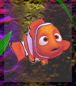 a picture of a clown fish with big eyes