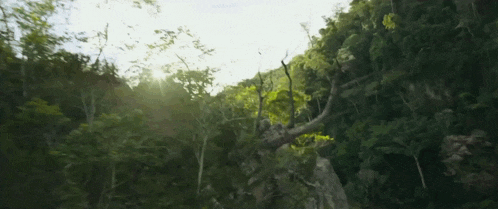 Transformers Rise Of The Beasts GIF - Transformers Rise Of The Beasts Optimus Primal GIFs