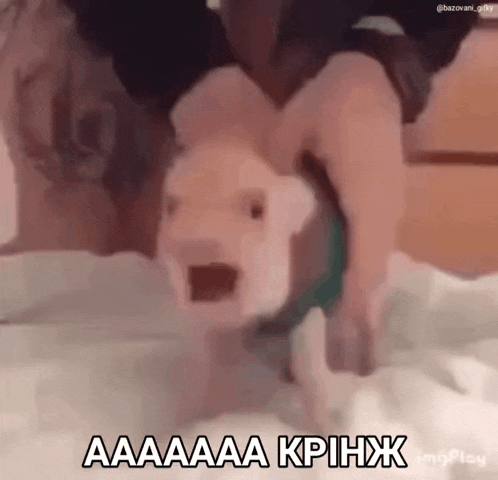 a person is playing with a pig on a bed and the pig is screaming and looking at the camera .