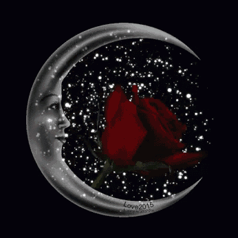 a crescent moon with a face and a red rose