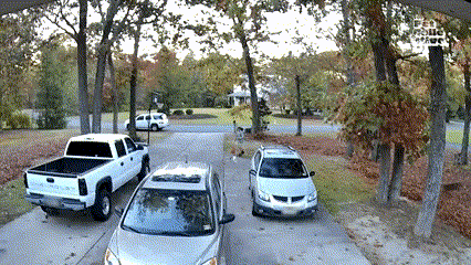 a white truck is parked on the side of the road next to two cars