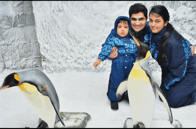 a man and woman kneeling next to two penguins one of which is wearing a shirt that says snf