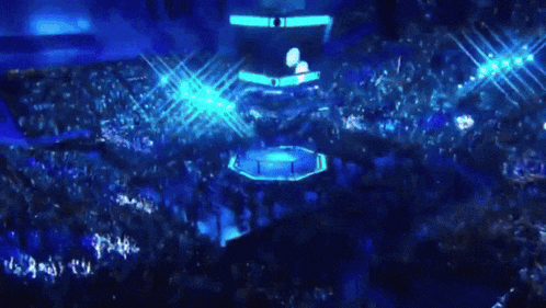 Ready To Fight Volkanovski GIF