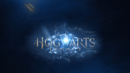 Hogwarts Legacy Portkey Games GIF - Hogwarts Legacy Portkey Games Warner Bros Games GIFs
