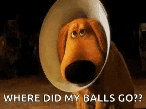 a cartoon dog wearing a cone on its head is asking where did my balls go .