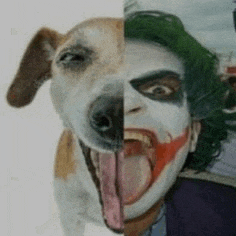 a picture of a dog and a picture of a joker