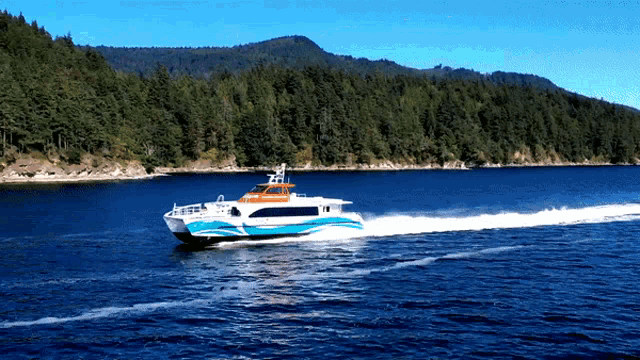 Lady Swift Fast Ferry GIF - Lady Swift Fast Ferry Ferry GIFs