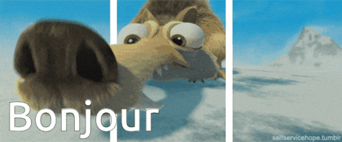 a cartoon of a squirrel with the word bonjour written below it
