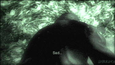 a screenshot of a video game that says " sad " on it
