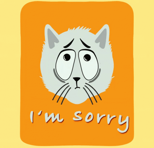 Cat Sorry GIF
