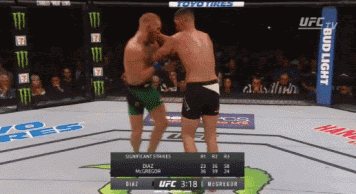 two men are fighting in a ufc ring with a bud light banner in the background