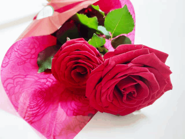 a bouquet of red roses wrapped in pink tissue paper