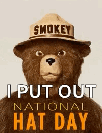 National Hat Day Smokey GIF - National Hat Day Smokey Only You Can Prevent Wildfires GIFs