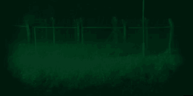 a woman is holding a gun in a dark room and looking at the camera .