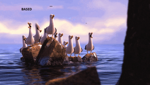 a group of seagulls are standing on rocks in the water and the word based is above them
