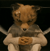 a stuffed fox with a bandage on its head is sitting down with its hands folded .