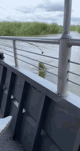 a fishing rod is hanging over the side of a boat in the water