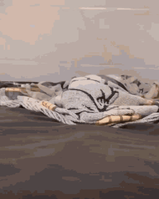 Cat Blanket GIF - Cat Blanket Cute GIFs
