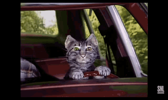 Toonces The Driving Cat GIF - Toonces The Driving Cat Smile GIFs