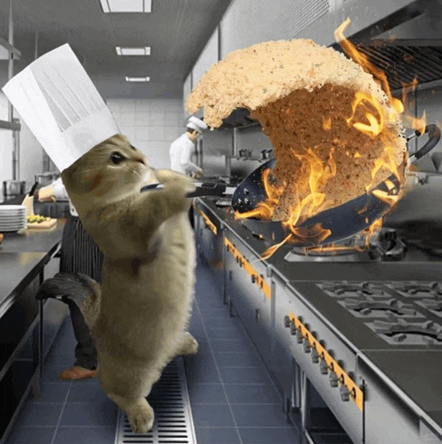 a cat wearing a chef 's hat is standing in a kitchen with a pan of food on fire