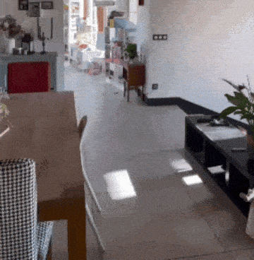 a room with a table and chairs and a plant