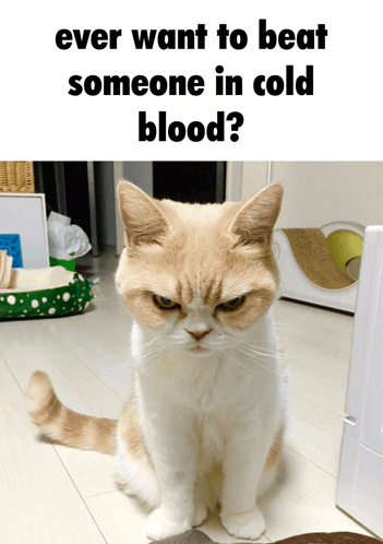 Ever Want To Beat Someone In Cold Blood GIF - Ever Want To Beat Someone In Cold Blood GIFs