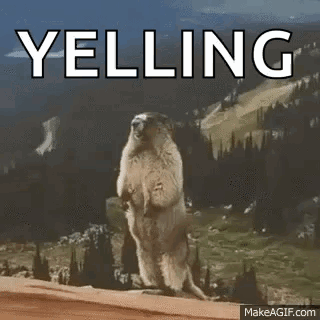 Beaver Yelling GIF - Beaver Yelling Scream GIFs