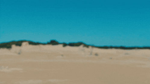 a woman wearing a red cowboy hat and a blue shirt stands in the desert