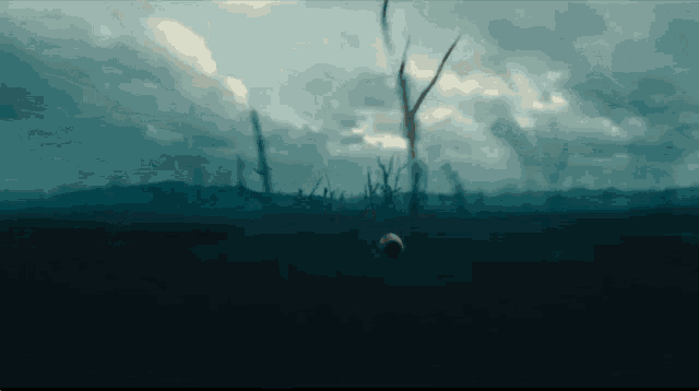 a person is standing in the middle of a field with trees in the background