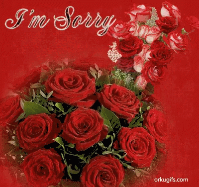 Im Sorry Roses GIF - Im Sorry Roses Red Roses GIFs