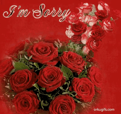 a bunch of red roses on a red background with the words i 'm sorry on it