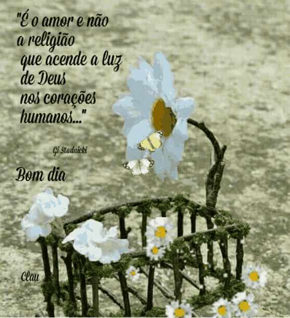 a butterfly is flying over a white flower with a quote in the background