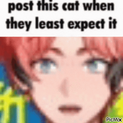 a close up of a person 's face with the words `` post this cat when they least expect it '' written on it .