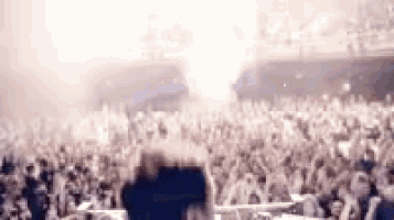 a crowd of people standing in a stadium at a concert .