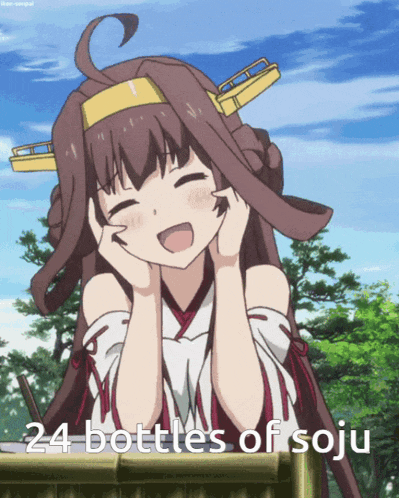 a picture of a girl with the words 24 bottles of soju on it