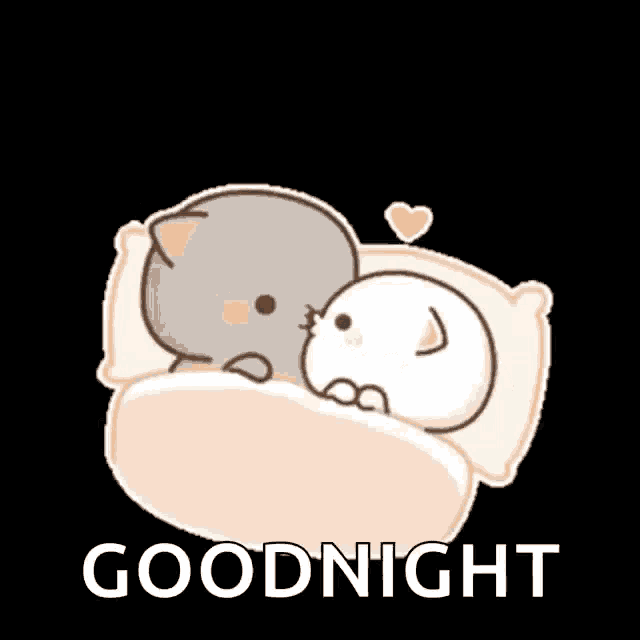 a cartoon of two cats laying in bed with the words goodnight written below them