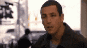 Bullshit Ada Sandler GIF