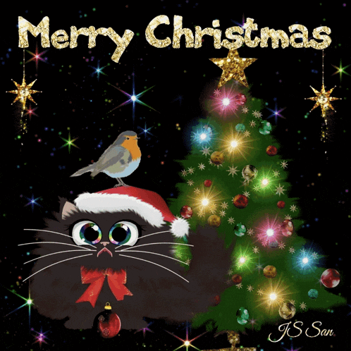 a merry christmas card with a black cat and a robin