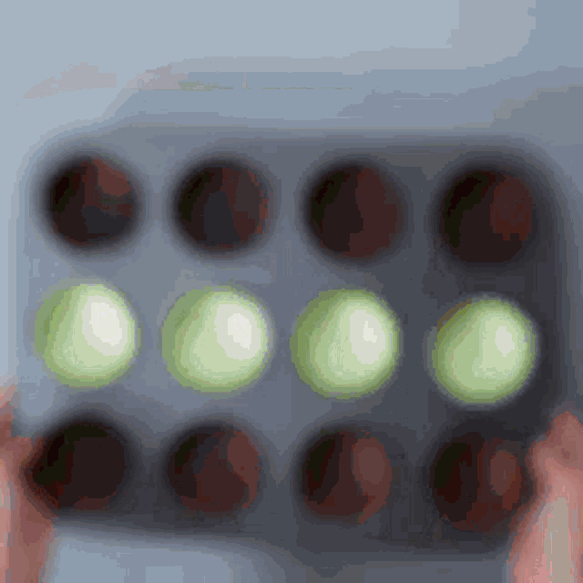 a person is holding a muffin pan filled with chocolate cupcakes and green icing .