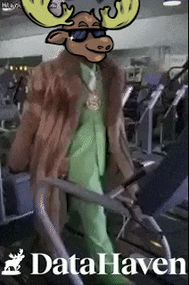 a moose wearing sunglasses and a fur coat is walking on a treadmill in a gym with the words data haven below him
