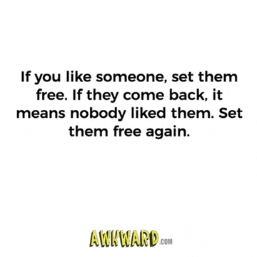 if you like someone , set them free . if they come back , it means nobody liked them .