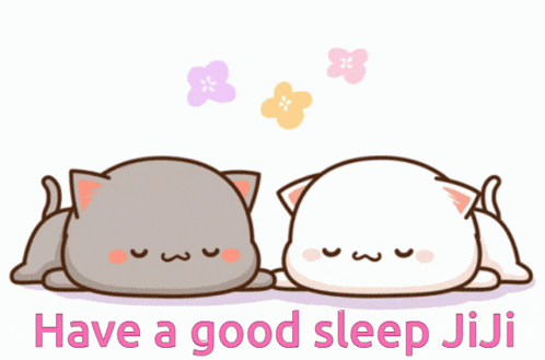 two cartoon cats laying next to each other with the words have a good sleep jiji above them