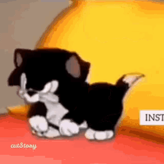 a black and white cat is sitting on a yellow pillow .