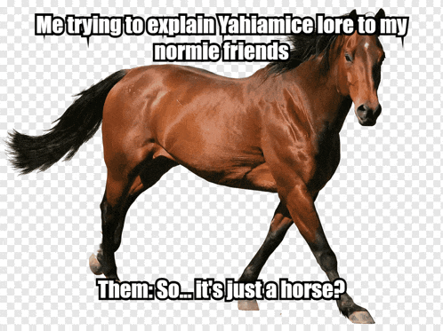 a brown horse with the words me trying to explain