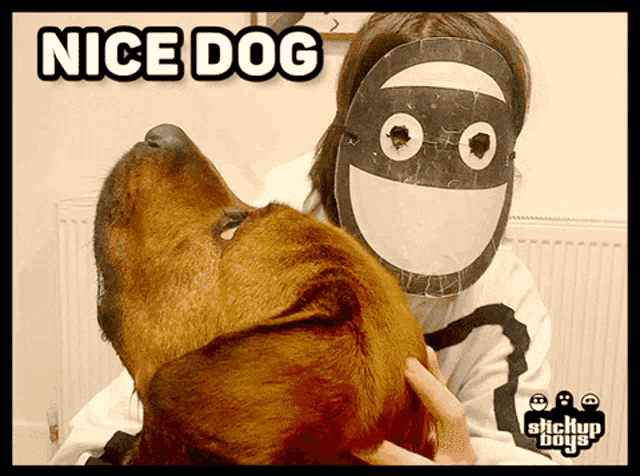 a woman wearing a mask is petting a dog with the words nice dog behind her