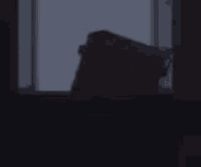 a small house is silhouetted against a window in the dark .