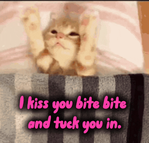 a cat laying on a bed with the words i kiss you bite bite and tuck you in below it